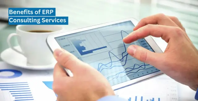 Benefits of ERP Consulting Services